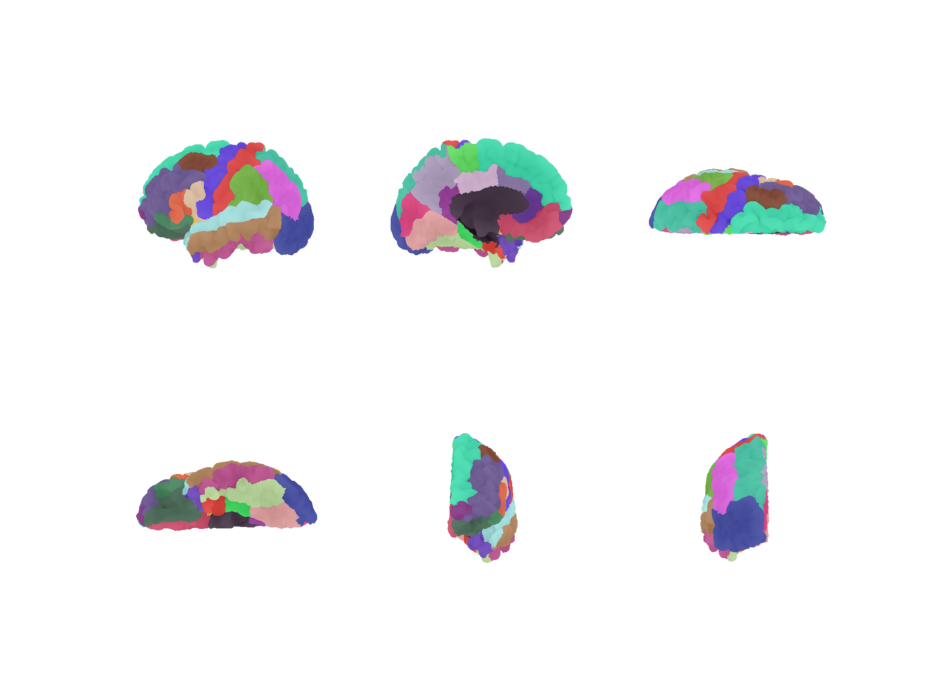 Left hemisphere pial surface